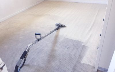 10 Services Which El Gato Carpet Cleaning Services Can Provide You With