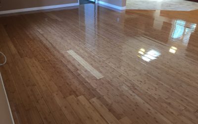 5 Reasons You Need a Reliable Carpet Cleaning Vendor for Your Restaurant