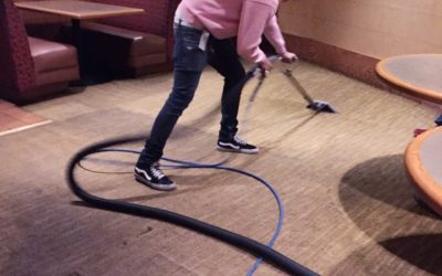 Why you require a perfect cleaning company to clean your carpets?
